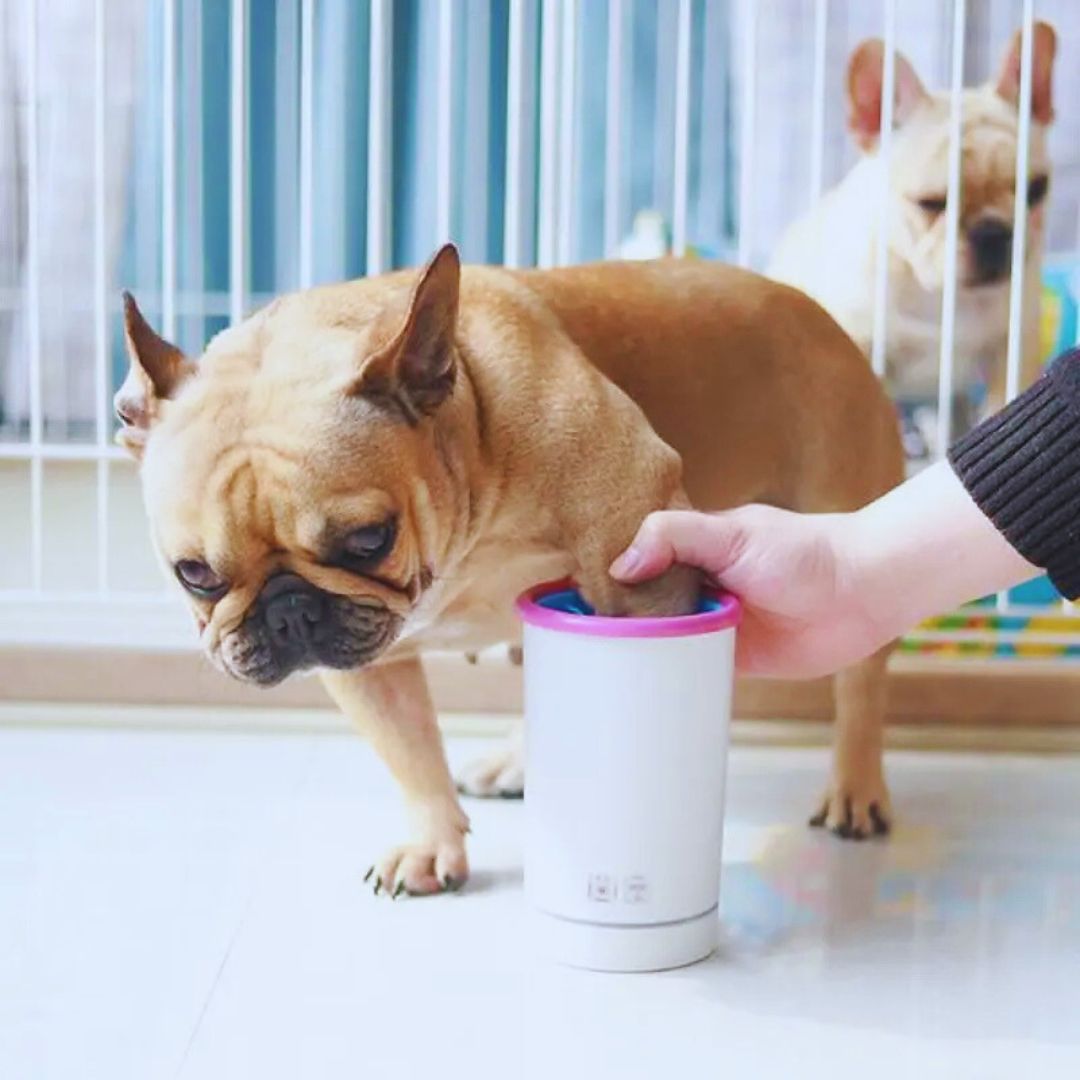 Elektrischer Pfotenreiniger für Hunde und Katzen mit Weichen Silikonborsten und USB-Aufladung