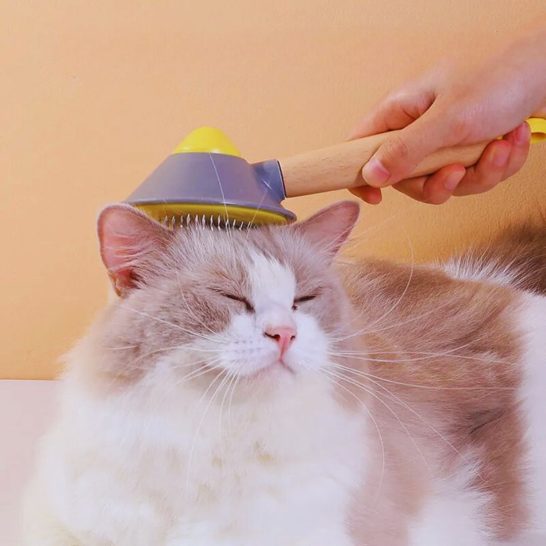 Selbstreinigende Haustierbürste Mit Massagefunktion für Hunde und Katzen