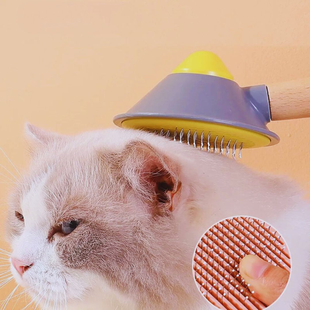 Selbstreinigende Haustierbürste Mit Massagefunktion für Hunde und Katzen