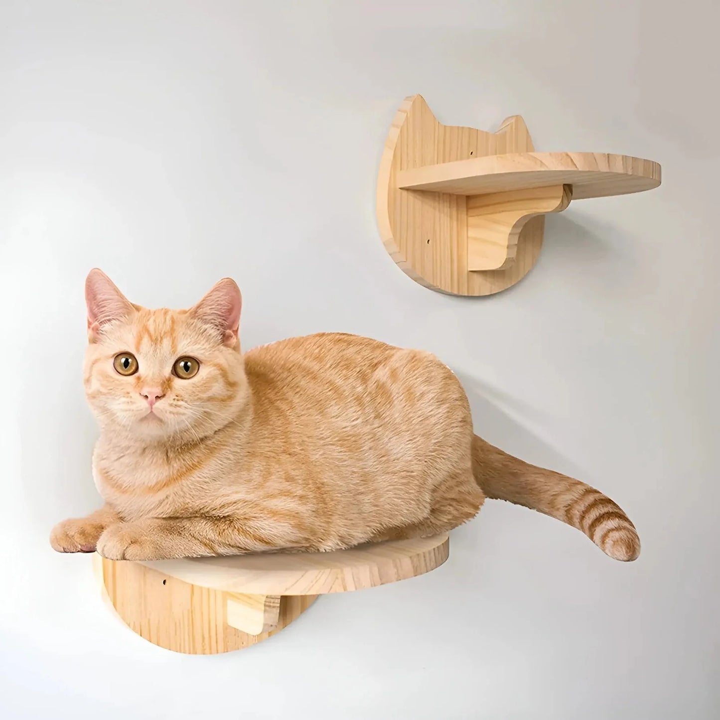 Individuell Zusammenstellbarer Katzen Wand Kratzbaum
