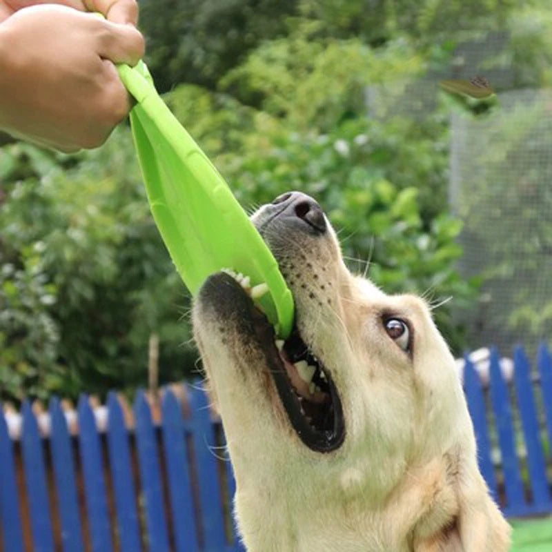 Hundespielzeug Frisbee – Robuste Wurfscheibe Für Aktives Spielen