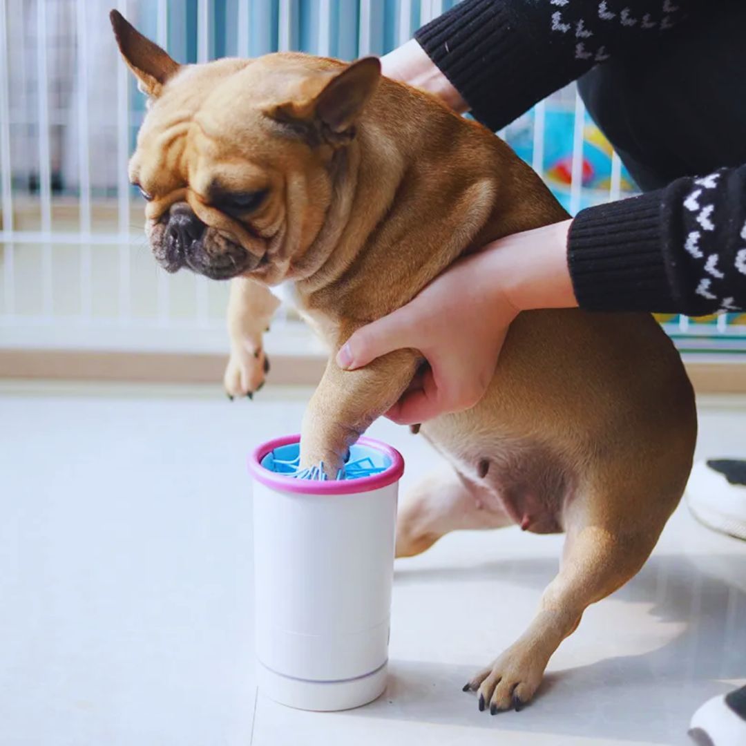 Elektrischer Pfotenreiniger für Hunde und Katzen mit Weichen Silikonborsten und USB-Aufladung