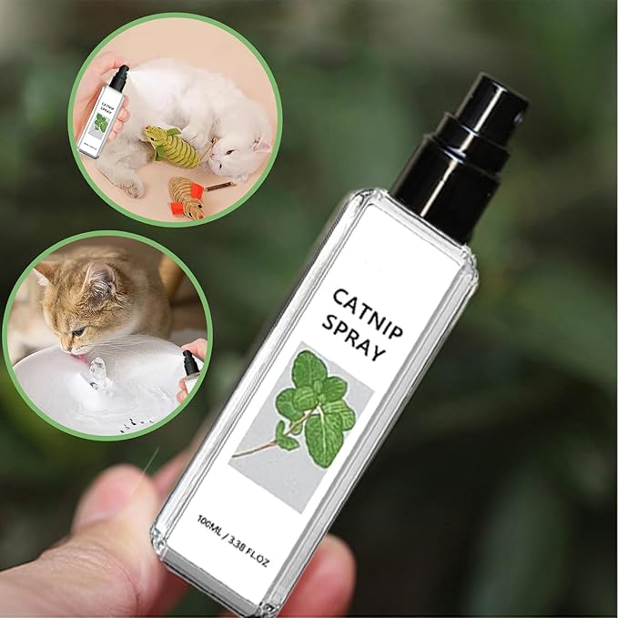 Katzenminze Katzenspray