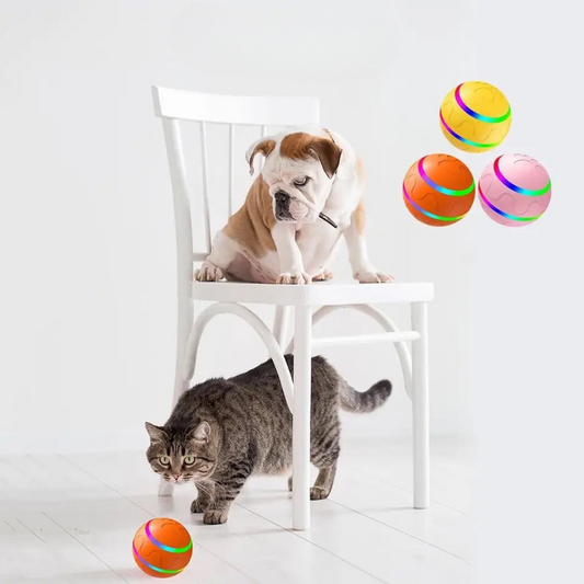 Aktiver rollender Ball für Haustiere