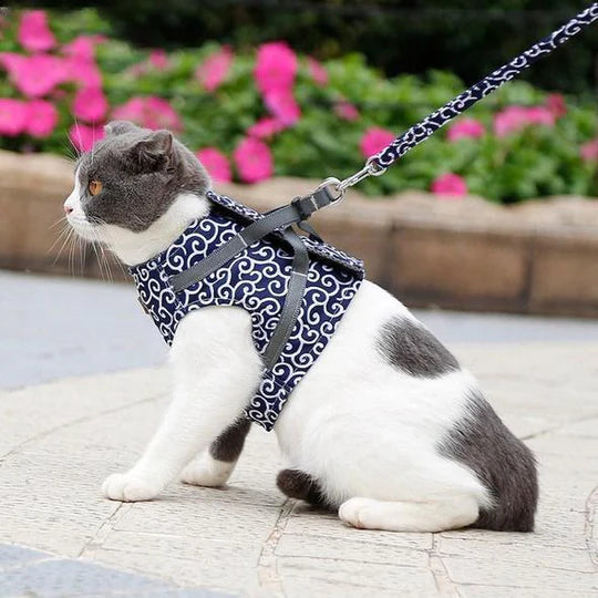 Atmungsaktives Katzengeschirr Mit Leine Für Outdoor-Spaziergänge