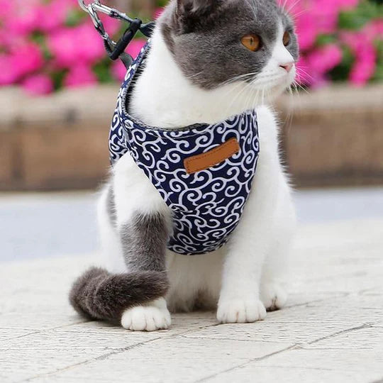 Atmungsaktives Katzengeschirr Mit Leine Für Outdoor-Spaziergänge