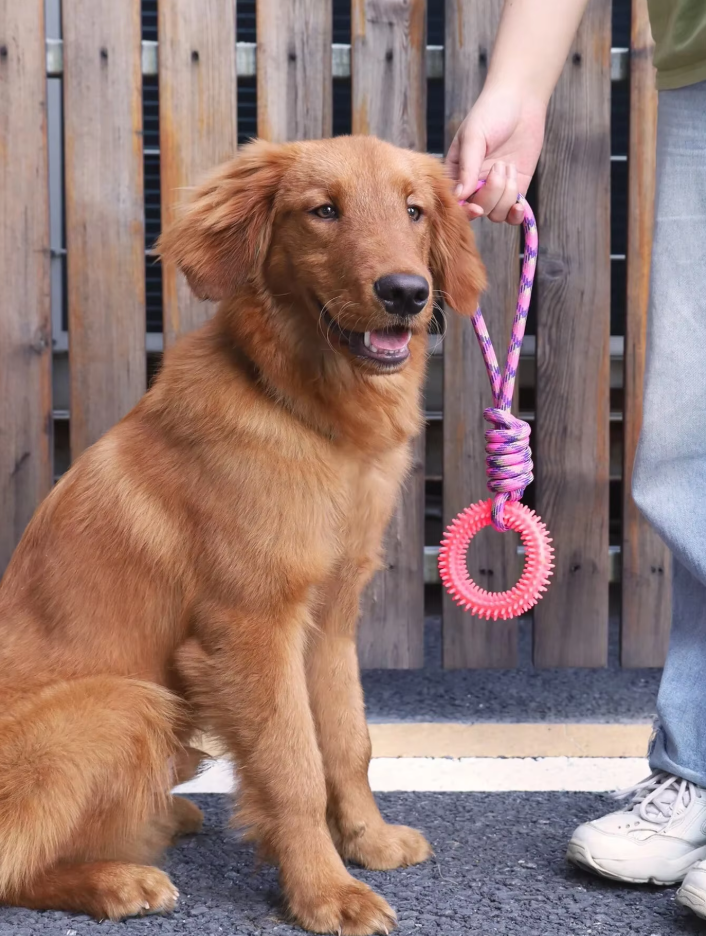 Robustes Hundespielzeug Mit Beißring – Kauspielzeug Zerrseil Für Interaktiven Spielspaß