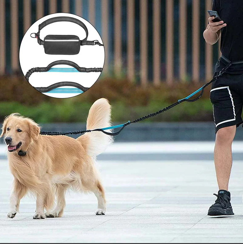 Freihändige Hundeleine mit Bauchtasche