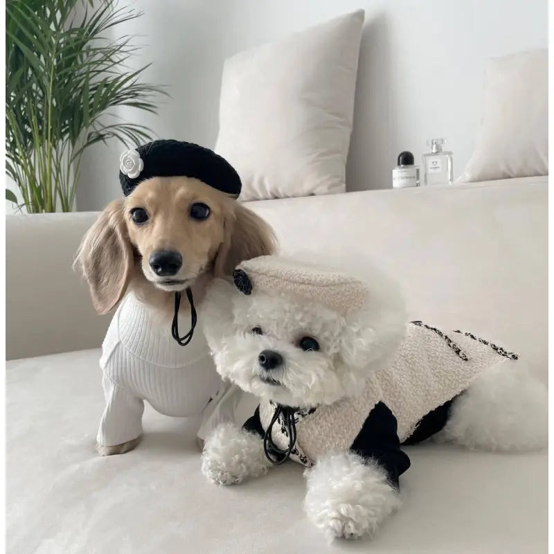 Personal Isierte Bowknot Hun Halsband Nylon Plaid H Produktbild-Vorschau 10