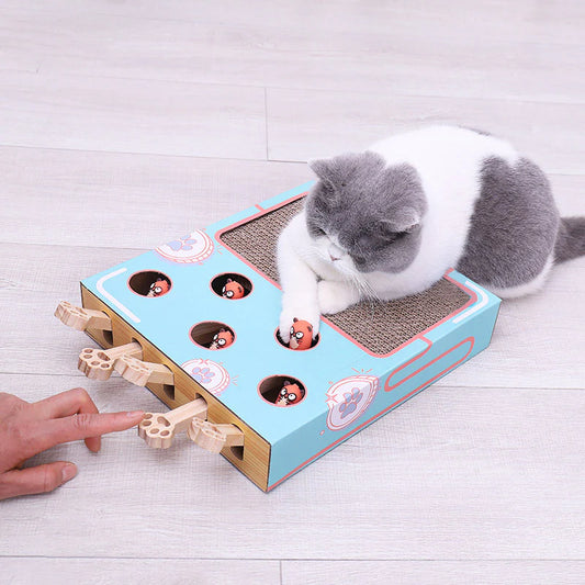 3in1 Spielbox für Katzen