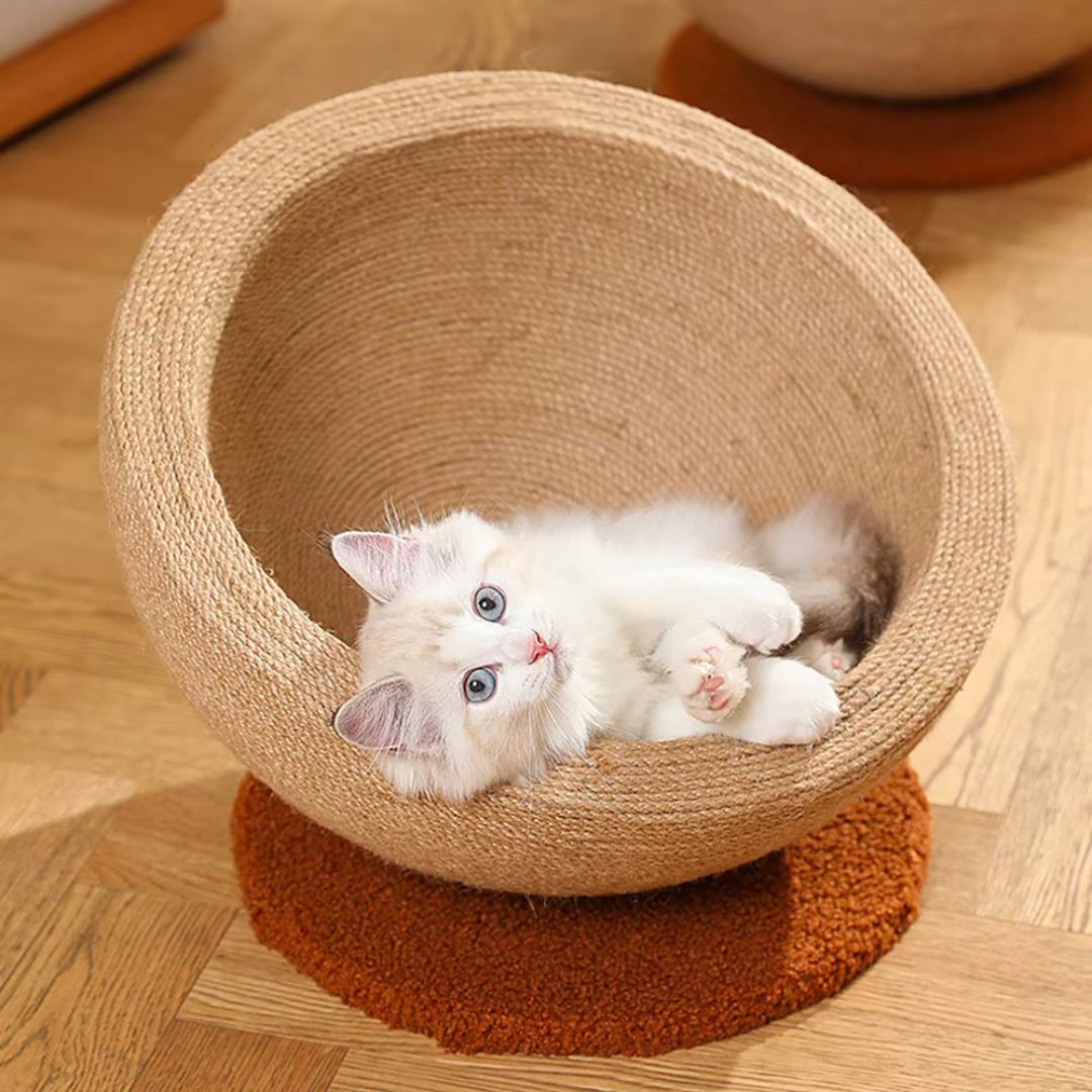 Katzen Kratz und Schlafkugel aus Sisal