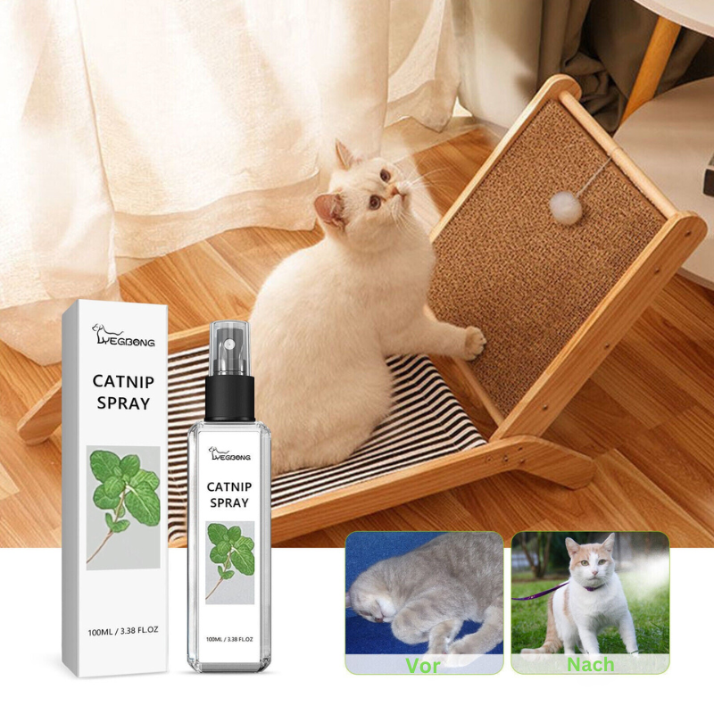 Katzenminze Katzenspray