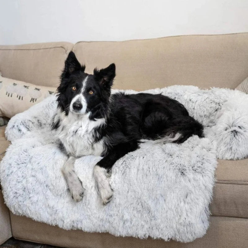 Luxuriöses Hundesofa