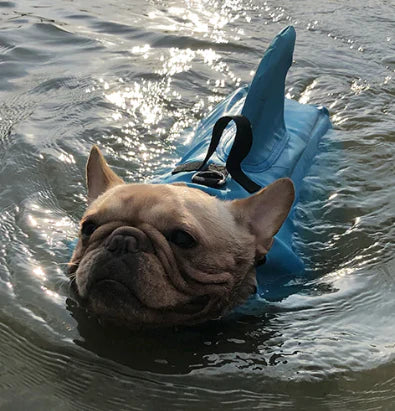 Schwimmweste für Hunde