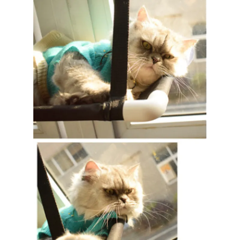 Katzen Fensterliege – Platzsparend und Stabil mit Saugfüßen