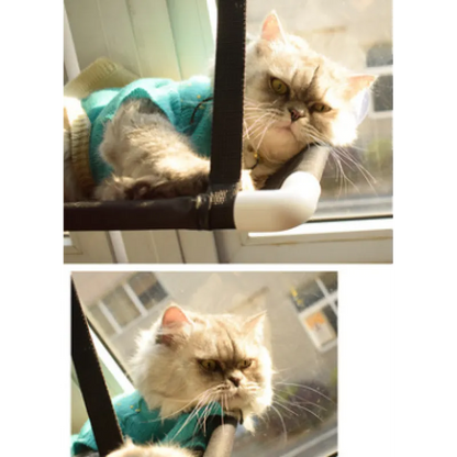 Katzen Fensterliege – Platzsparend und Stabil mit Saugfüßen