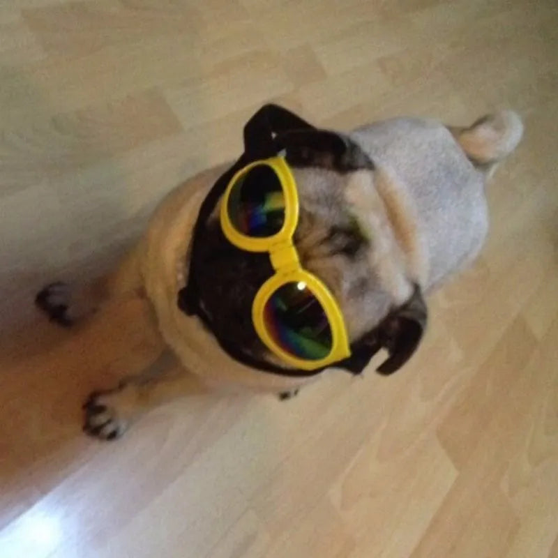 Hundegoggles UV-Schutzbrille in 7 Farben für Hunde