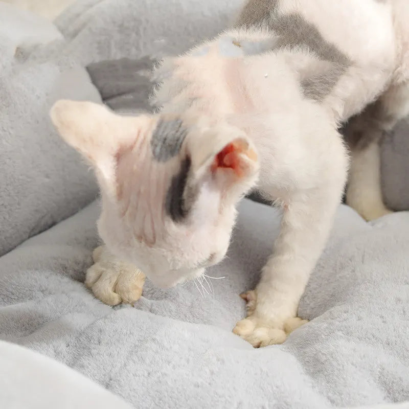 Kuscheliges Katzenbett in Blumenkorb-Form – Weich und Komfortabel für Entspannende Nächte