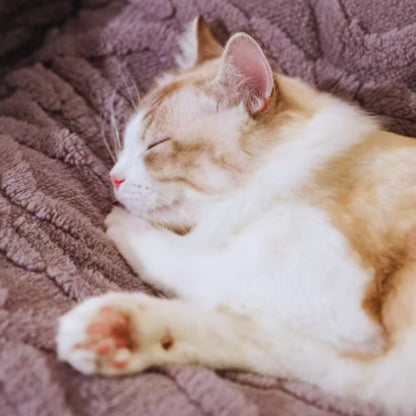 Kuscheliges Haustierbett für Katzen und Hunde – Deep Sleep Schlafplatz mit Weichem Stoff