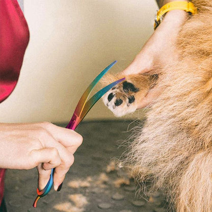 Haarschneideschere Für Hunde – Präzise Fellpflege