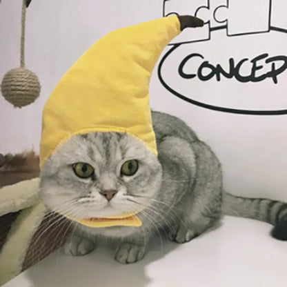 Lustige Haustier Kostüme – Bunte Haaraccessoires für Hunde und Katzen