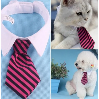 Eleganter Haustier-Kragen mit Krawatte für Hunde und Katzen