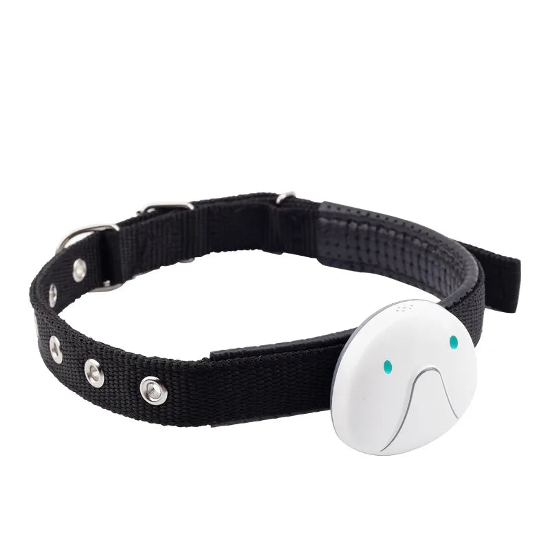 Hundehalsband mit GPS-Tracker – Einfach zu Befestigen und Zuverlässig