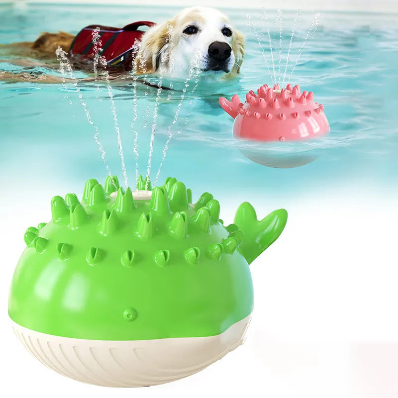 Wasserspielzeug für Hunde – Spritzender Spielball für Den Pool