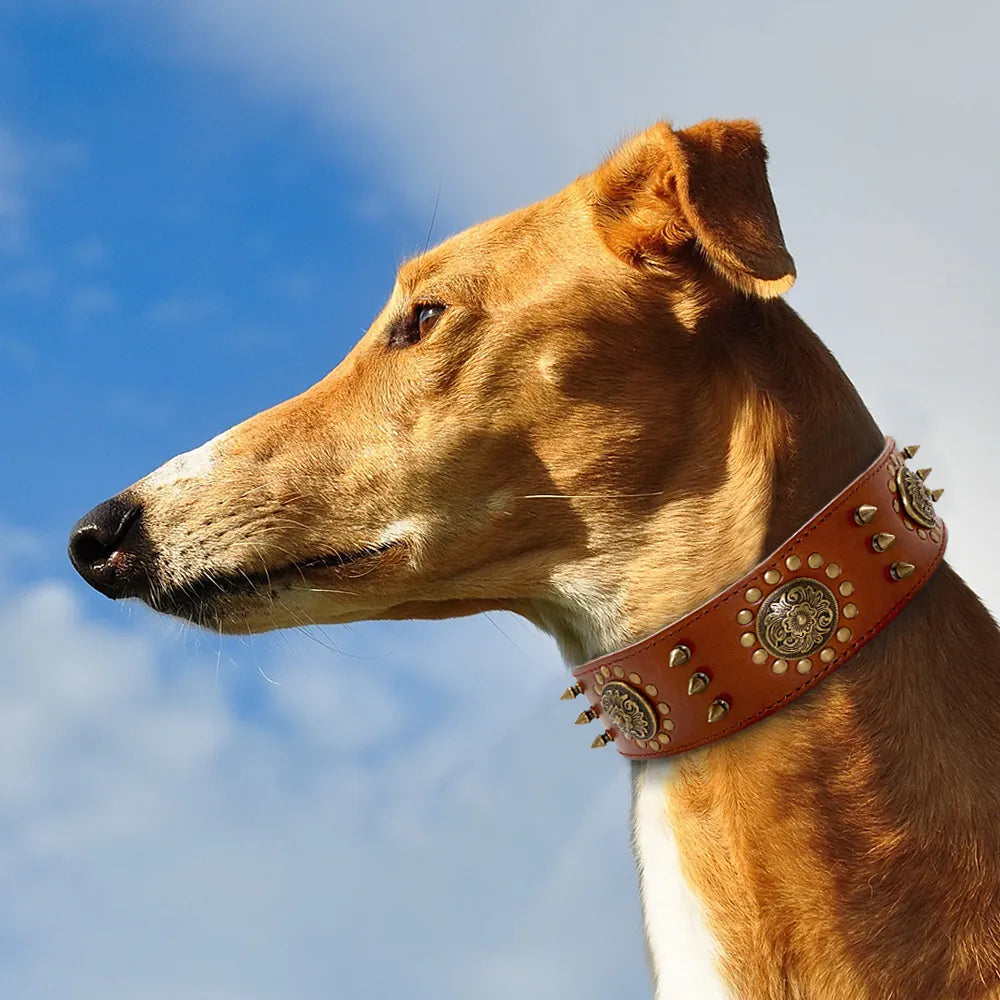 Leder Hundehalsband mit Nieten und Metallverzierungen für Große Hunde