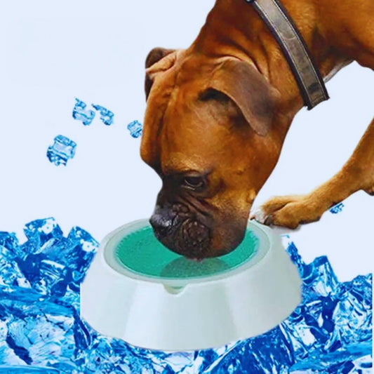 Wassersparende Hundetrinkschale mit Trenndesign – Rutschfeste Anti-Spill Schale
