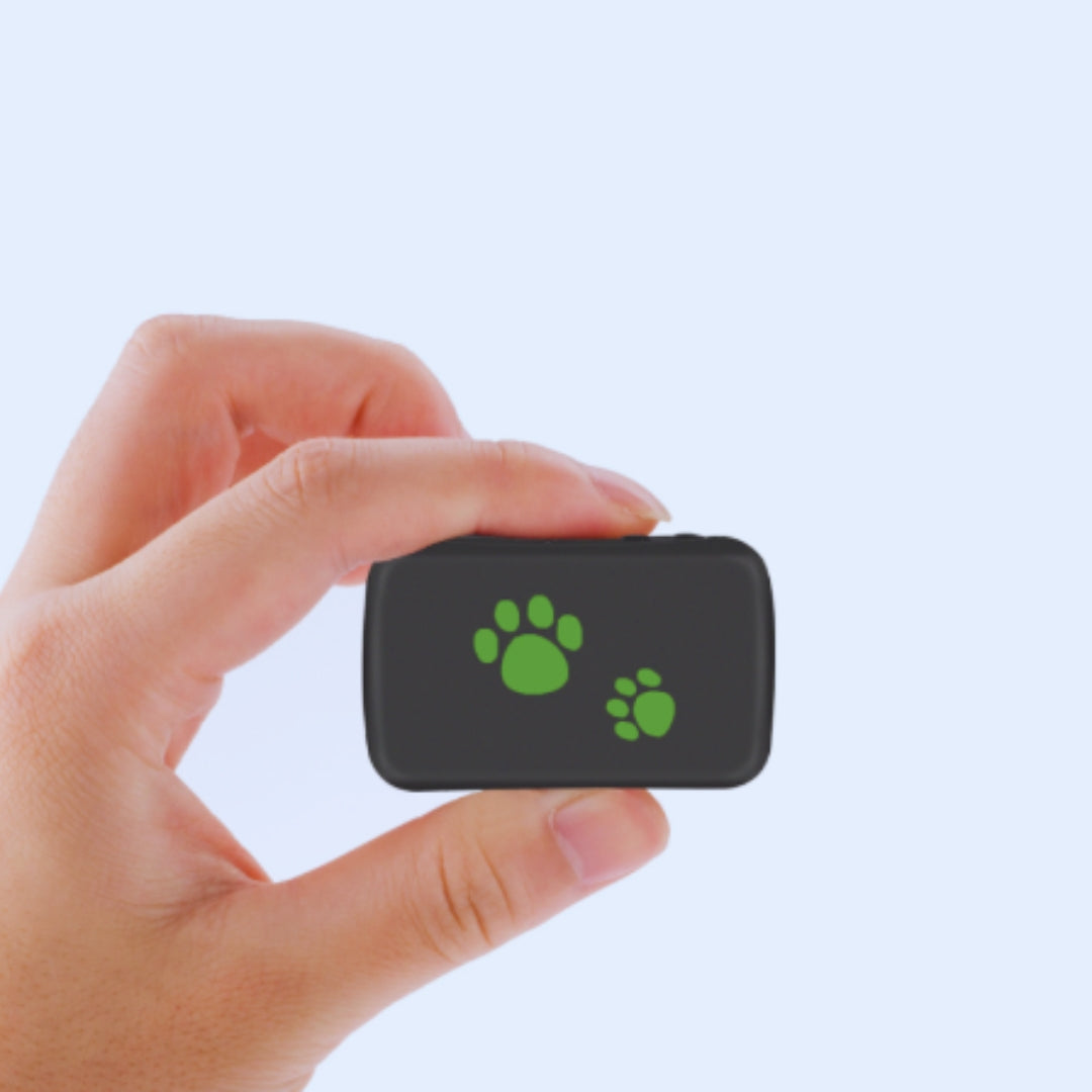 GPS-Tracker für Haustiere mit Echtzeit-Ortung und SIM-Karten-Slot