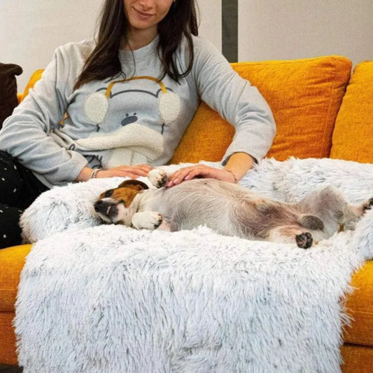 Luxuriöses Hundesofa