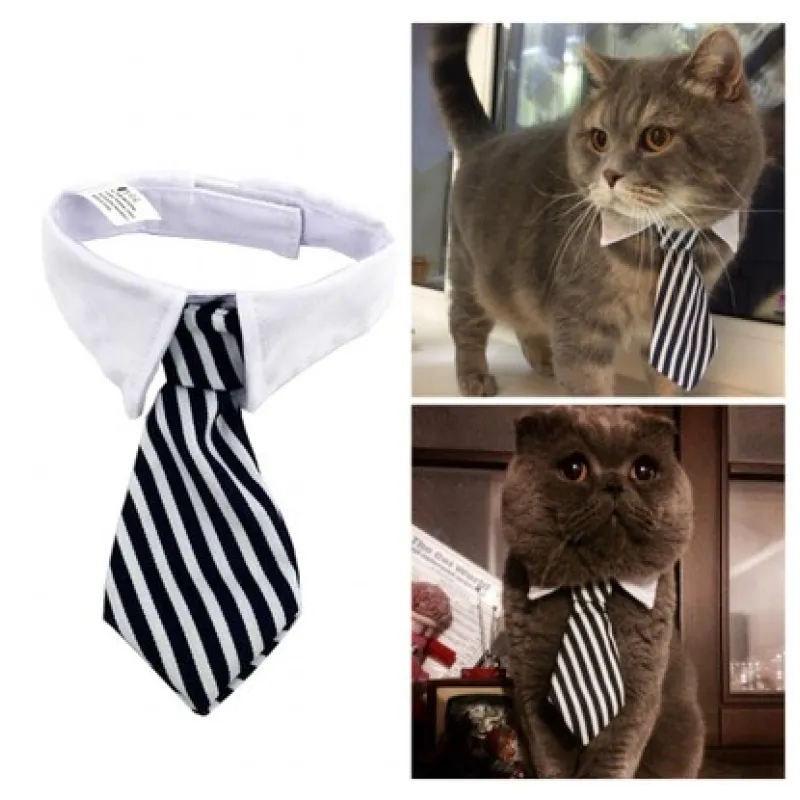 Eleganter Haustier-Kragen mit Krawatte für Hunde und Katzen