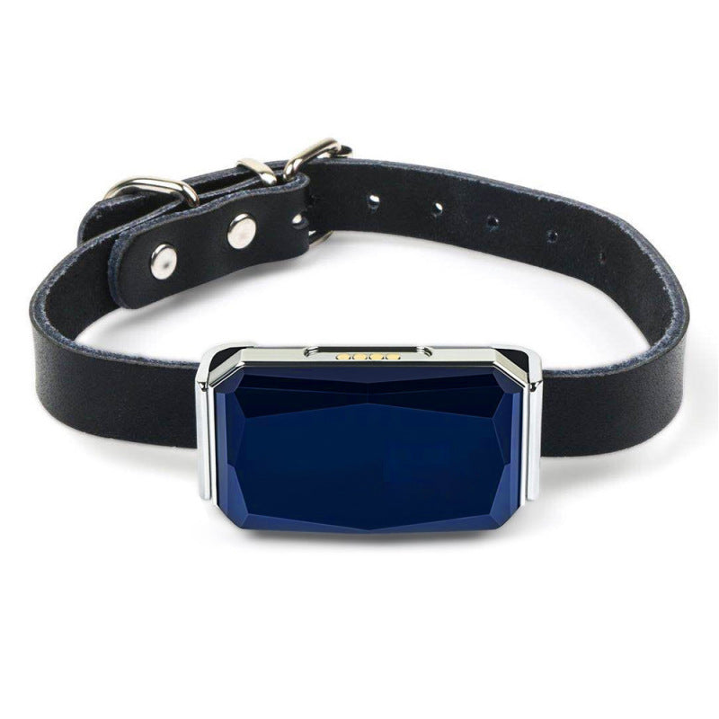 GPS Haustier Tracker - Wiederaufladbares Ortungsgerät für Hunde mit Halsband und USB-Kabel