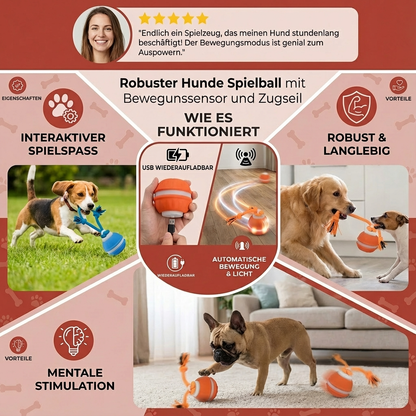 Robuster Hunde Spielball mit Bewegunssensor und Zugseil in Hundefarben