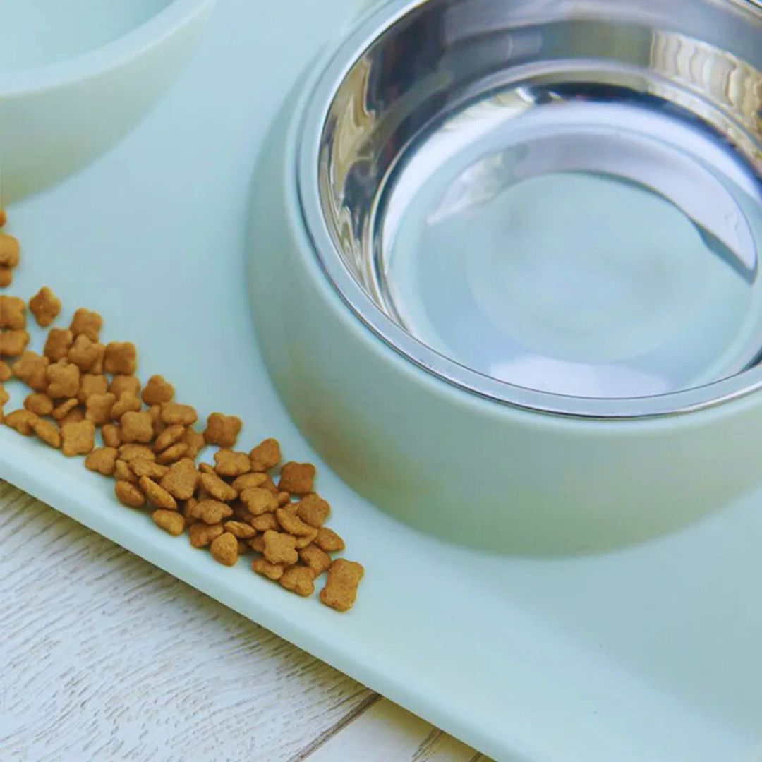 Erhöhte Futterschale für Haustiere mit Edelstahlnäpfen und Rutschfester Basis