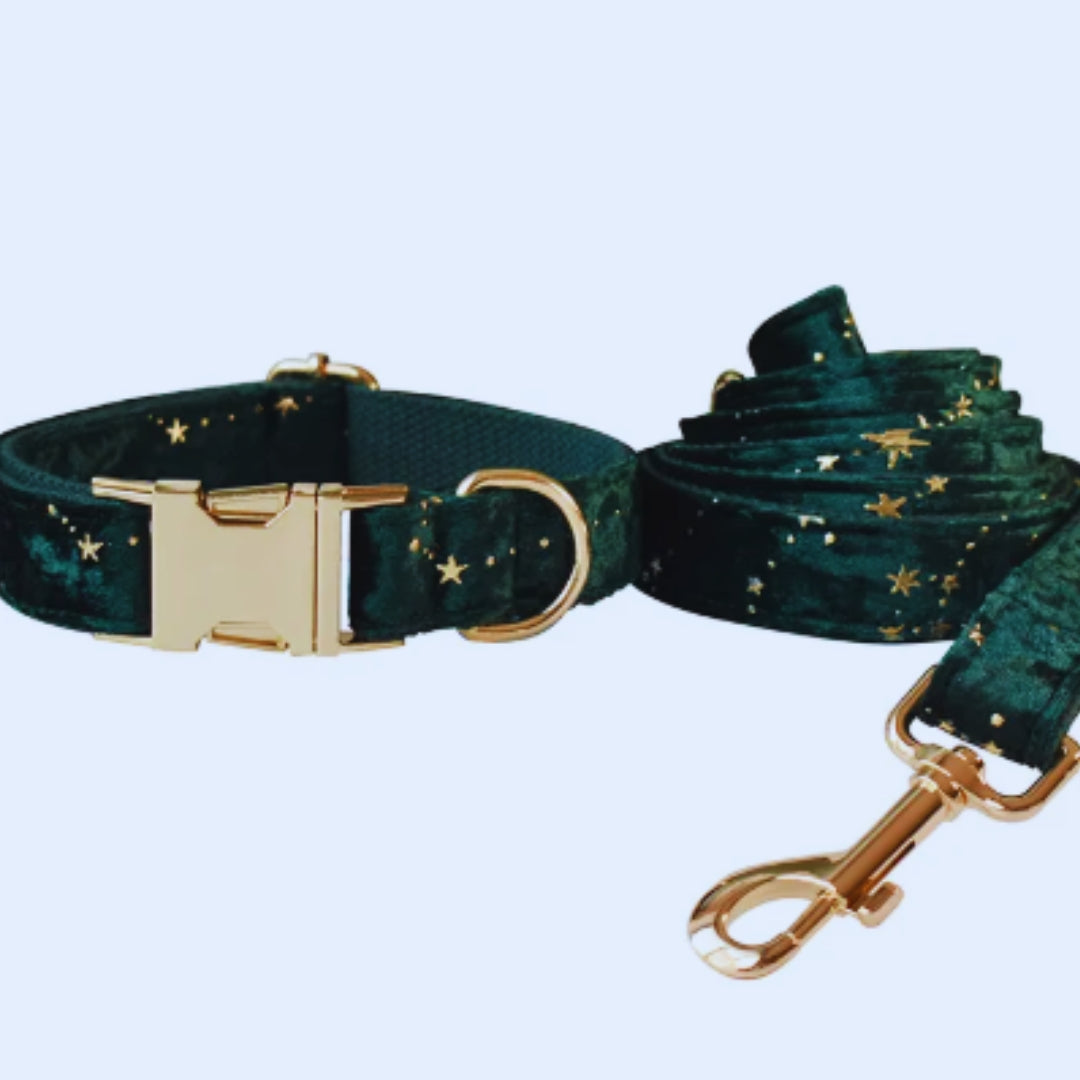 Luxuriöses Hundehalsband mit Leine und Fliege – Samtdesign mit Sternenmuster für Festliche Anlässe