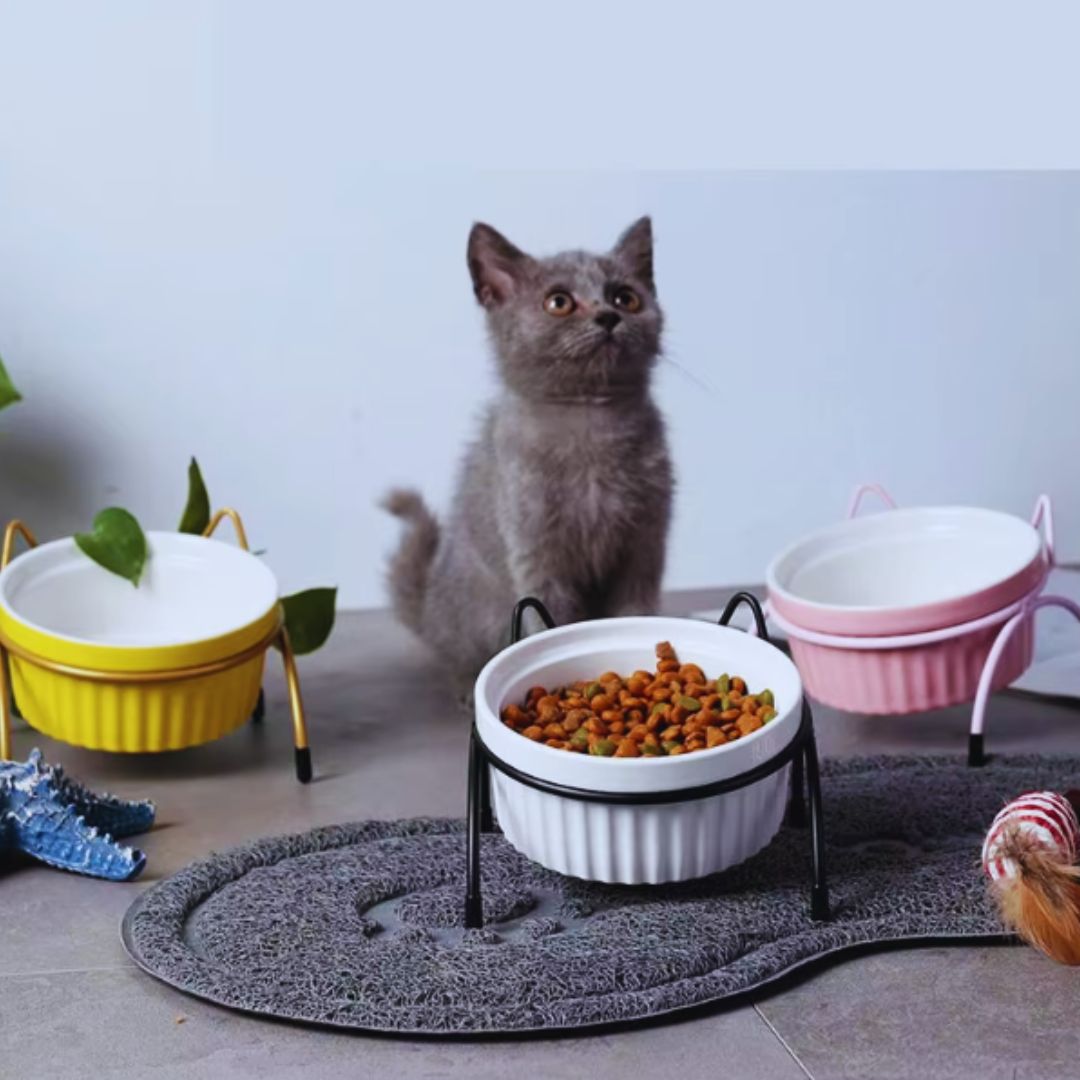 Erhöhter Hundefressnapf Im Stilvollen Design – Futter- und Wassernapf mit Ständer