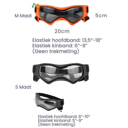 Stylischer Hundehelm mit Brille