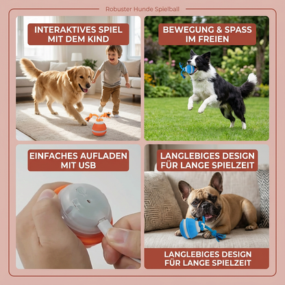 Robuster Hunde Spielball mit Bewegunssensor und Zugseil in Hundefarben