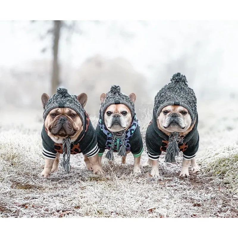 Stylische Hundemütze mit Bommel – Warme Wintermütze für Kleine Hunde