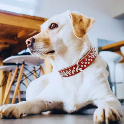HundeStachelhalsband mit Nieten für Mittelgroße und Große Hunde Im Punk-Design