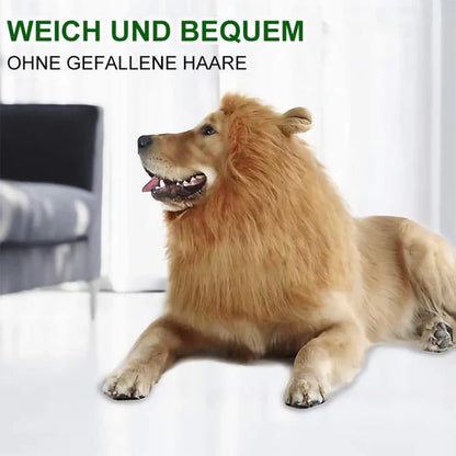 Löwenmähne Hundekostüm