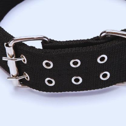 Verstellbares Hundehalsband aus Nylon mit Metallverschluss für Große