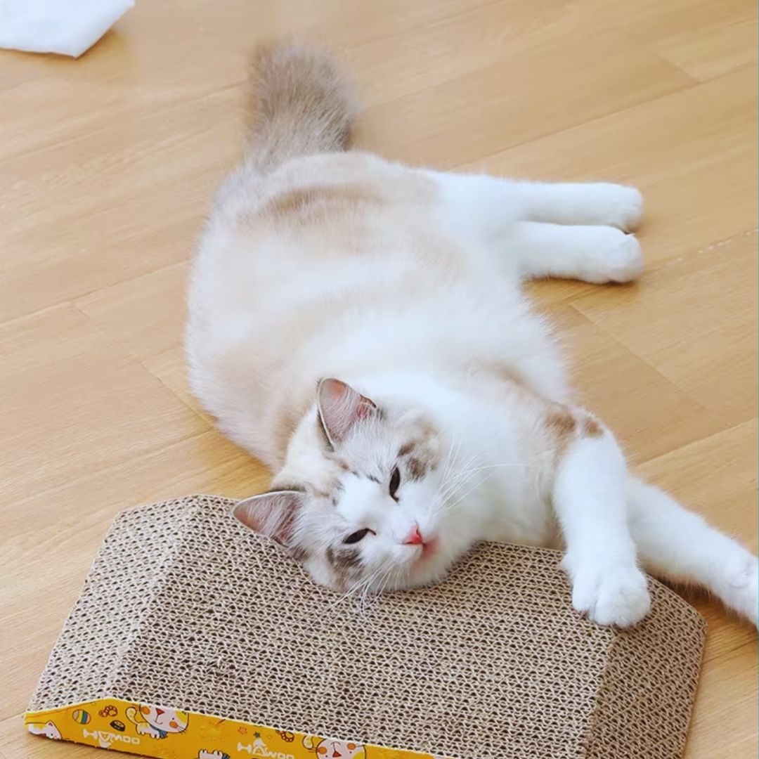 Katzenkratzbrett Im Schrägdesign – Kratzmatte für Krallenpflege mit Süßem Design