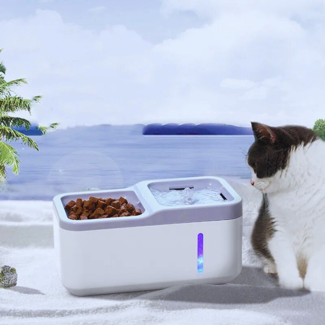 Automatischer Futter- und Wasserspender für Haustiere – Hygienische Versorgung für Hunde und Katzen