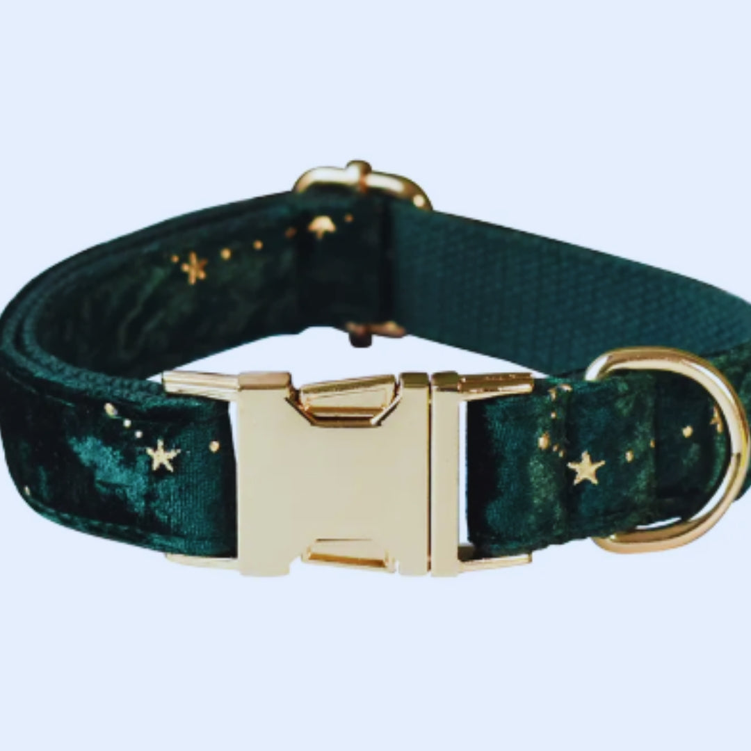 Luxuriöses Hundehalsband mit Leine und Fliege – Samtdesign mit Sternenmuster für Festliche Anlässe