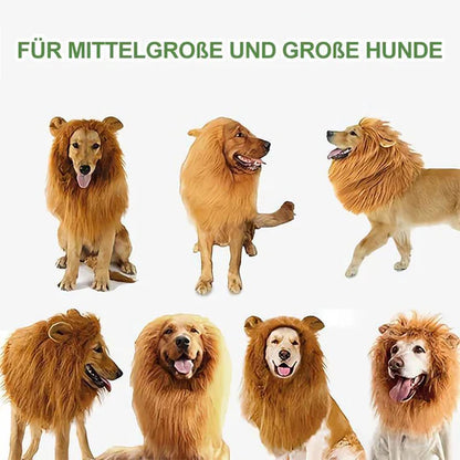 Löwenmähne Hundekostüm