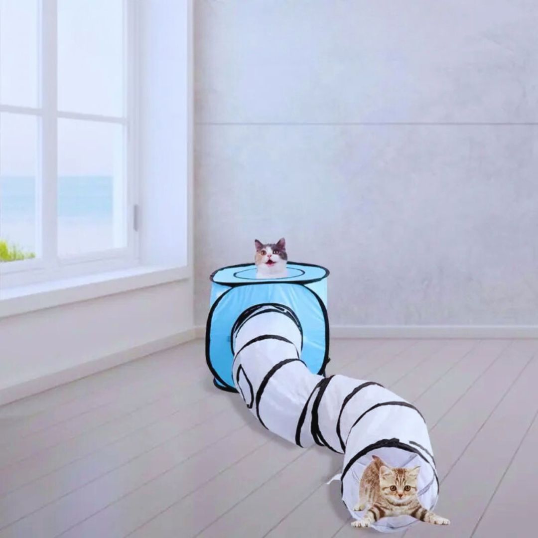 Krabben- und Spieltunnel für Katzen – Interaktive Spielröhre mit Versteck
