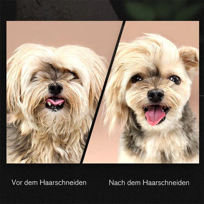 Haarschneideschere Für Hunde – Präzise Fellpflege